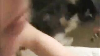 Asian Amateur Close-Up Pussy Webcam Action