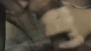 Asian Amateur Close-Up Pussy Webcam Action