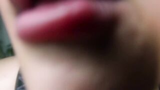 TAŞŞAKLARINI YALARIM