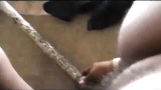 Mega Tetona: Cogida en la Calle