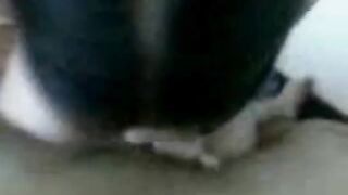 Kastam Babe with Big Tits