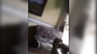 No Worries, I'll Take Your Cum On My Face