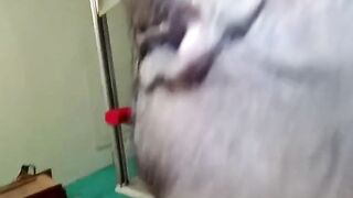 Mature Amateur Enjoys Cunnilingus & Toys -2