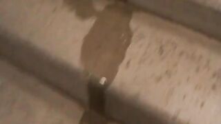 German Amateur Flashes and Pees in a Train Station