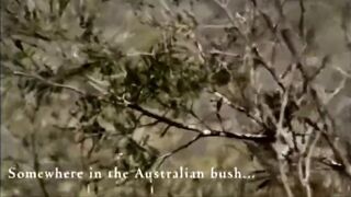 Living in the Australian Bush as a Nudist