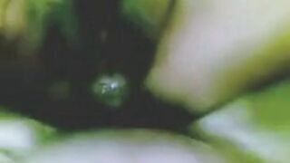 Asian Couple's Public Indiscretion