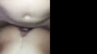 Cagna in un video anal con amici