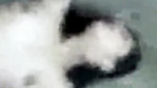 Chubby Asian MILF Amateur Video