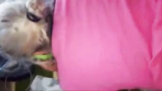 Culeando con mi Esposa Latina - Doggy Style Amateur