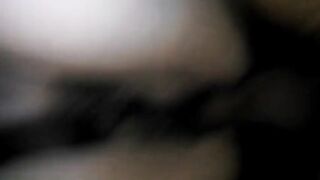 Hairy Amateur Spricity