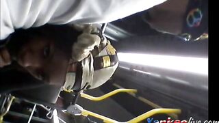 Brain's Blowjob on the Bus