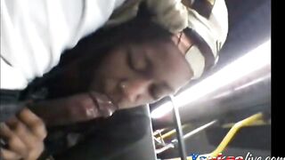 Brain's Blowjob on the Bus