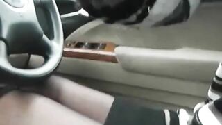 Asian Girl Reaches Orgasm in Car with Sex Toy on Webcam