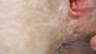 Hairy Amateur Mature MILF Hardcore Action