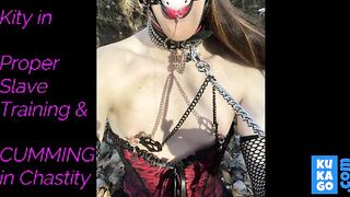 Ladyboy Kitty's Solo Anal Masturbation in Lingerie -3