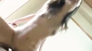 Tight Asian Pussy Creampied - Japanese Amateur POV