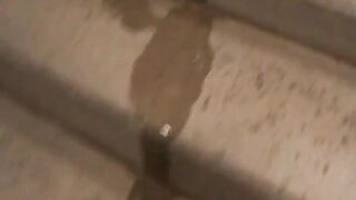 German Amateur Flashes and Pees in a Train Station -2