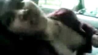 Amateur Asian Babe Blowjob in Karaoke Room