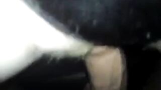 Indian Guy Makes White Milf Cum Hard