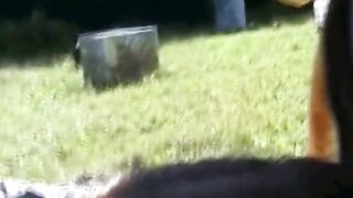 Stor-tuttad svensk mamma ger allmän avsugning