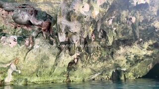 Stepbrother fucks his stepsister in the shower and he cums on her big boobs