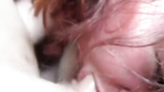 Hanging Tits Blowjob Compilation