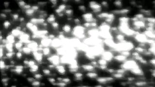 Asian Anal Pantyhose Amateur