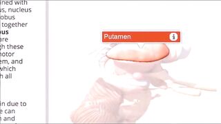 The History Of The Ancient Goddess Gape - The Aftermath Episode 11