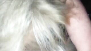 Single American Mom Loves Sucking Cock