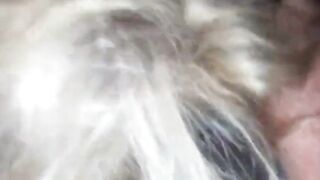 Single American Mom Loves Sucking Cock