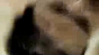 Amateur Asian Babe in Blowjob Video - Indonesian Scandal