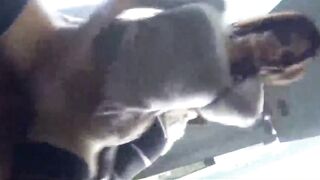 Big-ass Deutsch Babe Blowjob in öffentlicher Umkleidezimmer