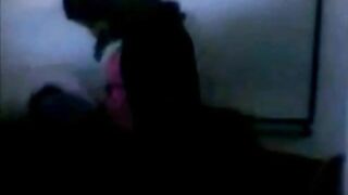 Schweiz-türkische Hijab-Könige